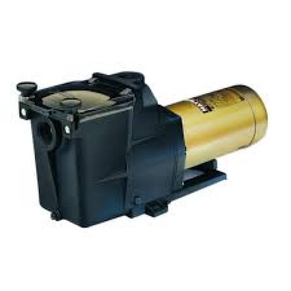 SUPB swimming pool pump - 2 Hp